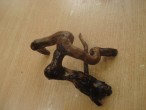 DSC04447.JPG
