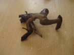 DSC04448.JPG
