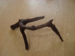 DSC04450.JPG