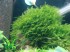 DSC09085.JPG
