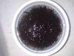 DSC_1216.jpg