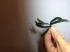 copy_211_copy_128_image14.jpeg
