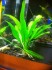 copy_691_IMG_2175.jpg