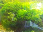 copy_814_copy_833_2015-09-12-16.21.02.jpg