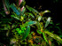 copy_836_Metallic-Wave.jpg