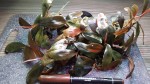 20160207_122841.jpg