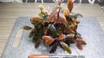 20160207_123421.jpg