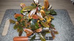 20160207_123532.jpg