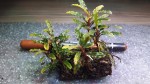 20160207_124838.jpg