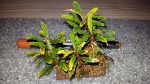 20160207_124857.jpg