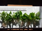 20160218_094234.jpg