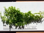 20160218_100547.jpg