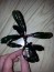 20160224_170714.jpg