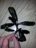 20160224_170714.jpg