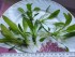 20160225_142857.jpg