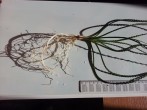20160226_092655.jpg