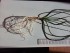 20160226_092655.jpg