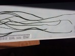 20160226_092659.jpg