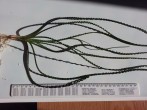 20160226_092709.jpg