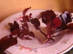 DSC01524.JPG