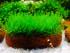 DSCF3164.jpg