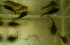DSCN0151.jpg