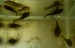 DSCN0151.jpg
