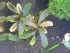 DSCN6036.JPG