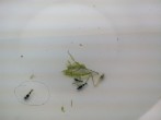 IMG_20160209_123630.jpg