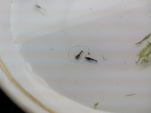 IMG_20160209_124047.jpg