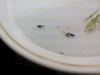 IMG_20160209_124055.jpg