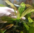 IMG_20160219_154422.jpg