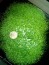 IMG_20160221_132456.jpg