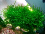 IMG_20160229_001352.jpg