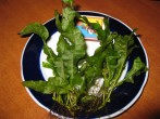 IMG_4479.JPG