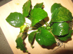 IMG_7326.JPG