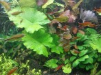 copy_261_2015-10-04-15.01.171.jpg