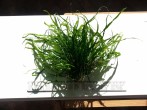 copy_752_20160218_100341.jpg