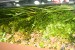 copy_940_IMG_2291.jpg