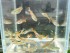 copy_952_copy_55_copy_815_copy_349_copy_193_copy_296_copy_544_copy_199_copy_974_copy_618_DSCN2170.jpg