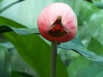 20150514_115936.jpg
