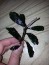 20160302_163733.jpg