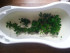 20160302_164726.jpg