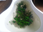 20160302_164822.jpg