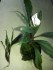 20160318_170456.jpg