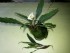 20160318_170524.jpg