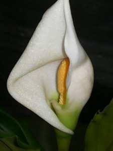 20160318_170602.jpg
