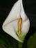 20160318_170602.jpg