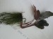 20160318_171154.jpg