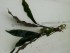 20160325_132733.jpg